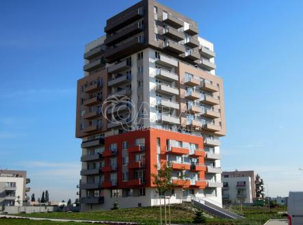 dscn5006.jpg | Pronájem bytu, 1+kk, 42 m²