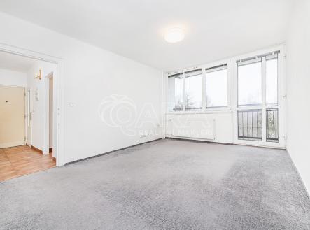 1.jpg | Pronájem bytu, 2+1, 47 m²