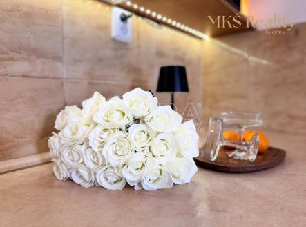 scene-10-result.jpg | Prodej bytu, 1+kk, 16 m²