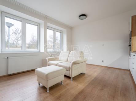 skrochova-10.jpg | Pronájem bytu, 3+kk, 69 m²