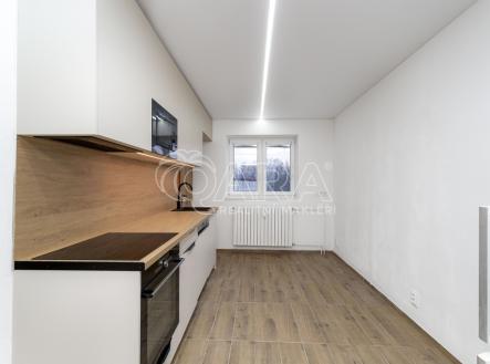 cdp09838-edit.jpg | Pronájem bytu, 2+1, 50 m²