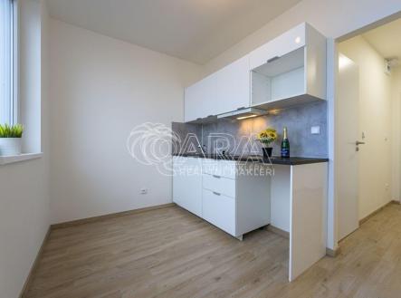 20231005224009-491.jpg | Pronájem bytu, 1+1, 30 m²