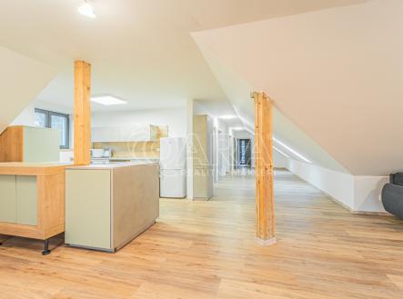 003.jpg | Pronájem bytu, 4+kk, 180 m²