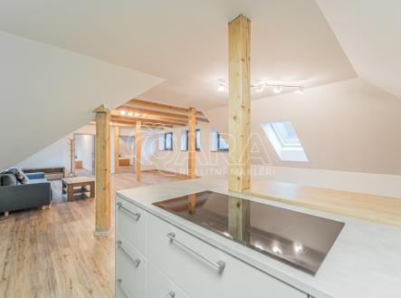 002.jpg | Pronájem bytu, 4+kk, 180 m²