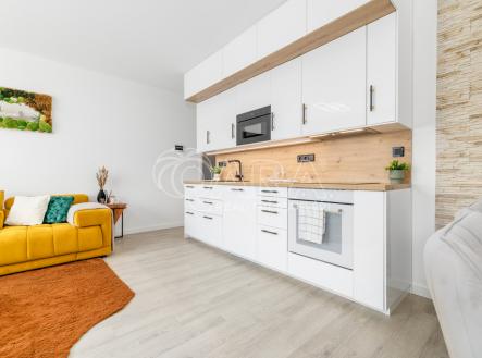 14-web-1.jpg | Pronájem bytu, 2+kk, 123 m²