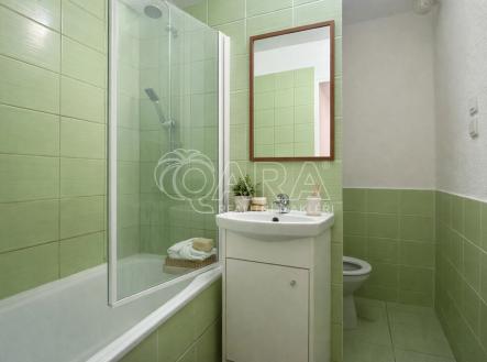 koupelna.png | Prodej bytu, 2+1, 45 m²