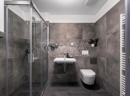 20231006232809-751.jpg | Pronájem bytu, 1+kk, 31 m²