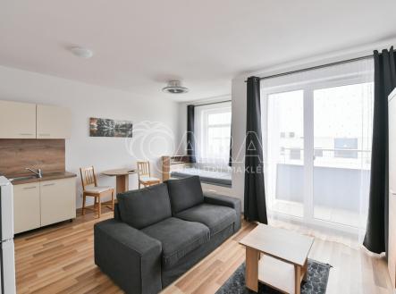 001.jpeg | Pronájem bytu, 1+kk, 34 m²