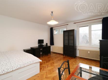 img-0234.jpg | Pronájem bytu, 1+1, 45 m²