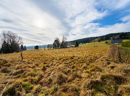 orlicke-zahori-rozliseni-pro-web-18.jpg | Prodej - pozemek pro bydlení, 4 018 m²