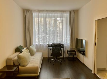 img-6983.jpg | Pronájem bytu, 1+1, 41 m²