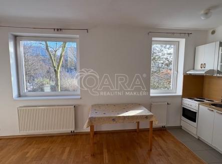 img-0426.jpg | Pronájem bytu, 1+kk, 31 m²