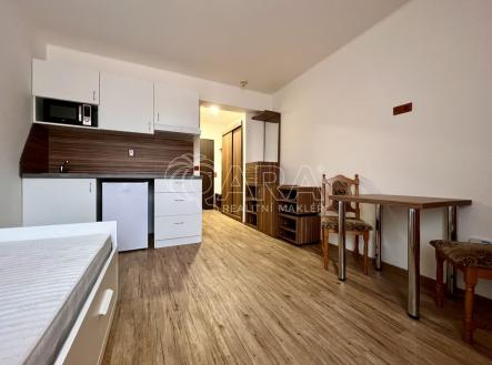 img-9522.jpeg | Pronájem bytu, 1+kk, 21 m²