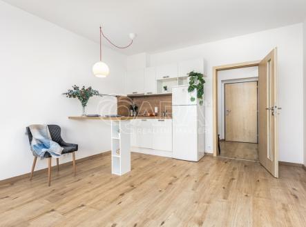 holysovska-5.jpg | Pronájem bytu, 1+kk, 12 052 m²