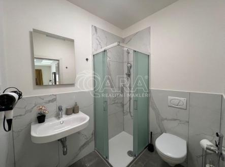 plzenska-1.jpg | Pronájem bytu, 1+kk, 52 m²