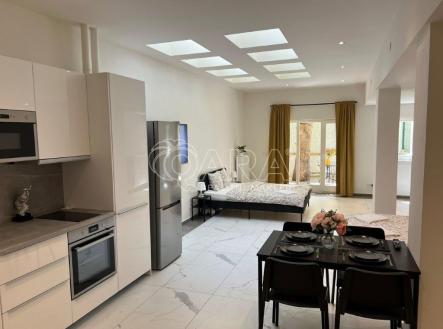 plzenska-5.jpg | Prodej bytu, 1+kk, 52 m²