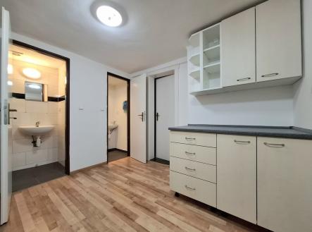 20251027-135409.jpg | Pronájem bytu, 1+1, 31 m²