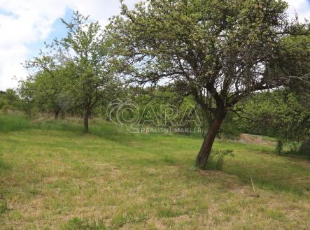 IMG_9816.JPG | Prodej - pozemek pro bydlení, 911 m²