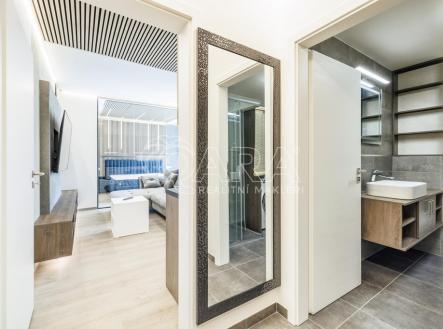 10.jpg | Pronájem bytu, 3+kk, 3 376 m²