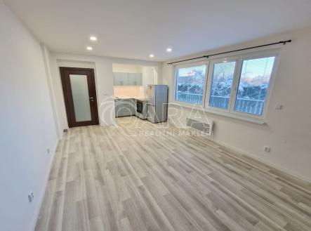 pokoj | Pronájem bytu, 1+kk, 29 m²