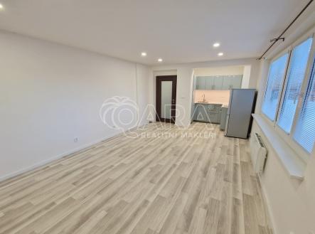 pokoj | Pronájem bytu, 1+kk, 29 m²