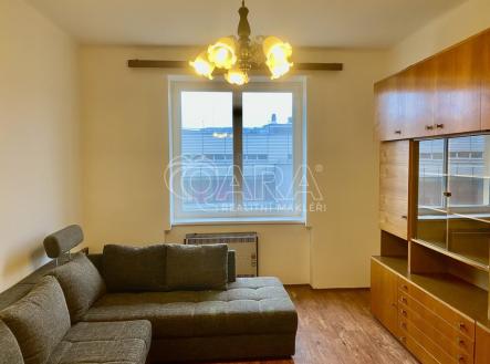 Pronájem bytu, 1+1, 46 m² obrázek