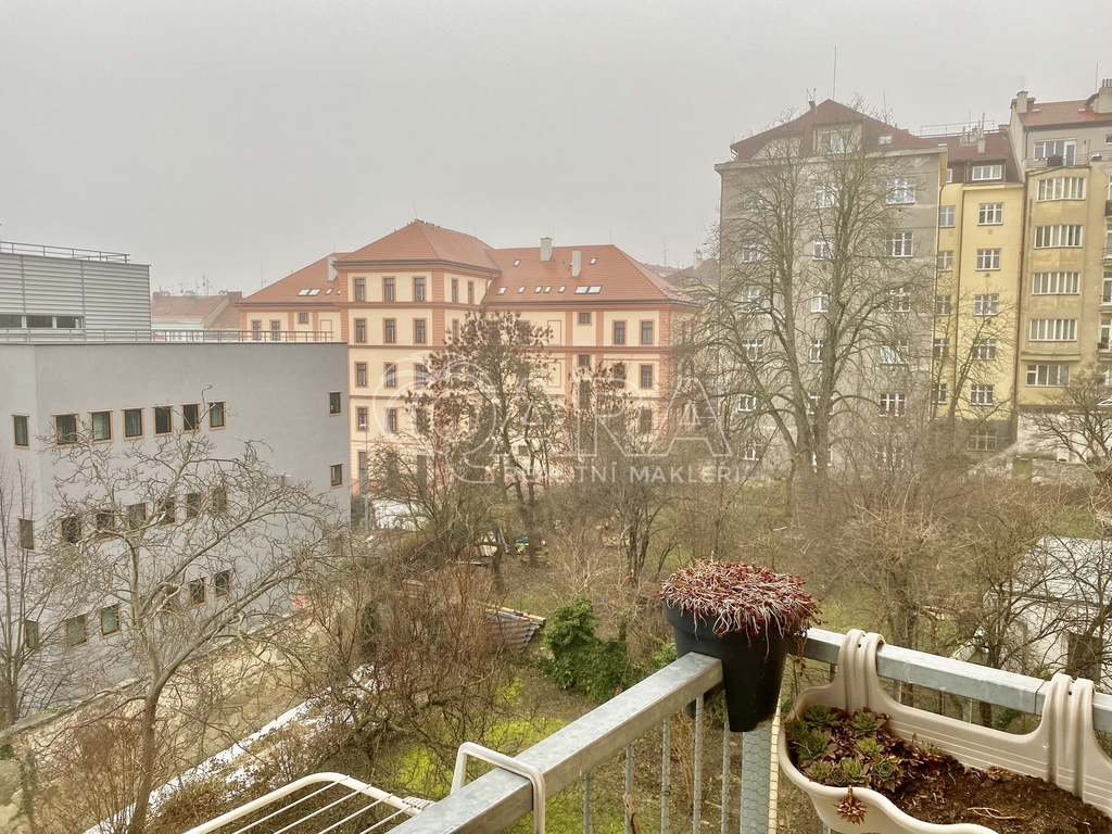 Výhled z bytu (balkonu)