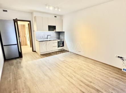 img-1788.jpg | Pronájem bytu, 1+kk, 38 m²