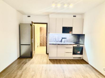 img-1786.jpg | Pronájem bytu, 1+kk, 38 m²