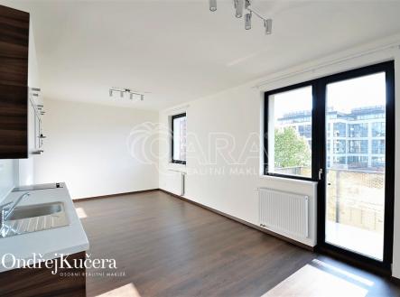 byt-barvitiova-17.jpg | Pronájem bytu, 1+kk, 38 m²