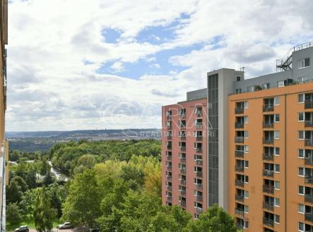 003.jpeg | Pronájem bytu, 2+kk, 47 m²