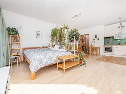 fotografie | Prodej bytu, 1+kk, 43 m²