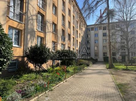 whatsapp-image-2026-04-02-a.t-10.00.04.jpeg | Prodej bytu, 1+1, 39 m²