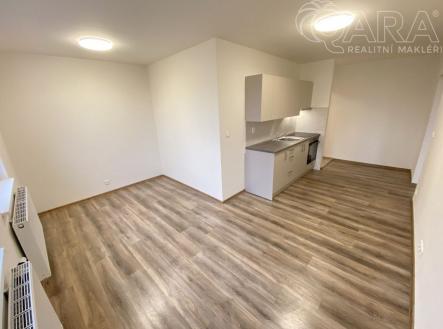 fotografie | Pronájem bytu, 2+kk, 72 m²