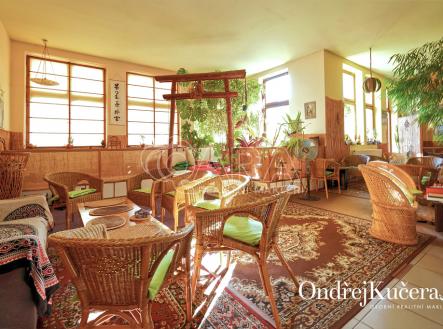 osvobozenych-politickych-veznu-c-p-341-kladno-www-osobnirealitnimakler-cz-ondrej-kucera-07.jpg | Prodej - nájemní dům, 1 000 m²