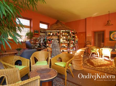osvobozenych-politickych-veznu-c-p-341-kladno-www-osobnirealitnimakler-cz-ondrej-kucera-06.jpg | Prodej - nájemní dům, 1 000 m²