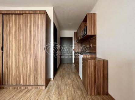 20231006172809-581.jpg | Pronájem bytu, 1+kk, 21 m²