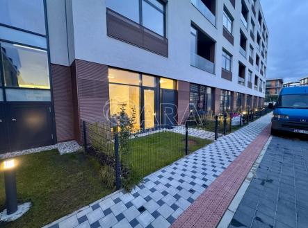 img-8861.jpeg | Pronájem bytu, 1+kk, 52 m²