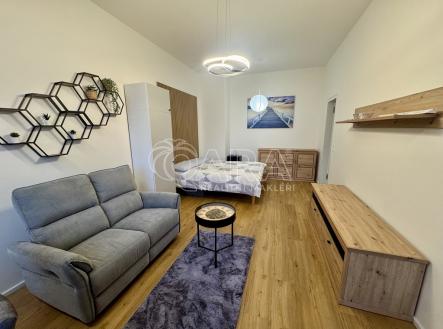 img-8843.jpeg | Pronájem bytu, 1+kk, 52 m²
