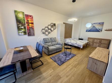 fotografie | Pronájem bytu, 1+kk, 52 m²