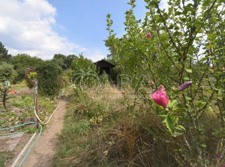 dsc-8720.jpg | Pronájem - pozemek, zahrada, 165 m²