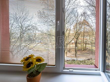 fotografie | Pronájem bytu, 3+1, 85 m²