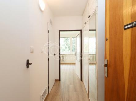 img-4651a.jpg | Pronájem bytu, 1+kk, 33 m²