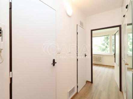 img-4647.jpg | Pronájem bytu, 1+kk, 33 m²