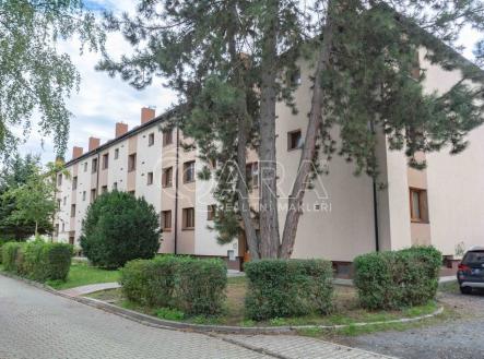 dsc-0019.jpg | Pronájem bytu, 1+1, 43 m²