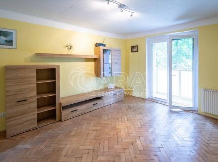 fotografie | Pronájem bytu, 1+1, 43 m²