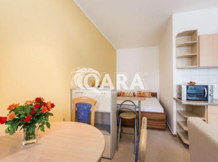 20231004050446-913.jpg | Pronájem bytu, 1+kk, 28 m²