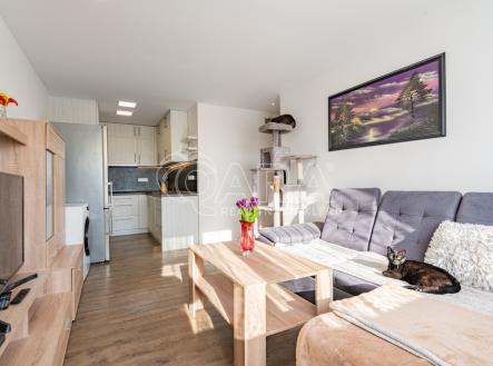 dsc04978-hdr.jpg | Prodej bytu, 2+kk, 45 m²