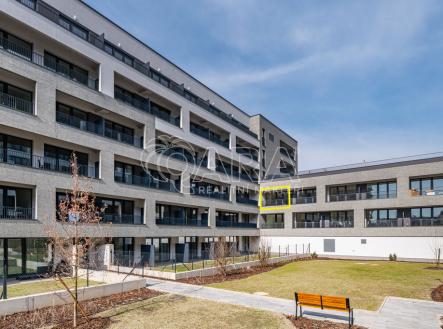 dscf1426.jpg | Pronájem bytu, 1+kk, 45 m²