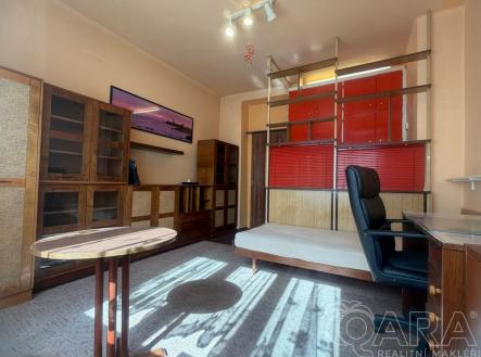 fotografie | Pronájem bytu, 1+kk, 16 m²